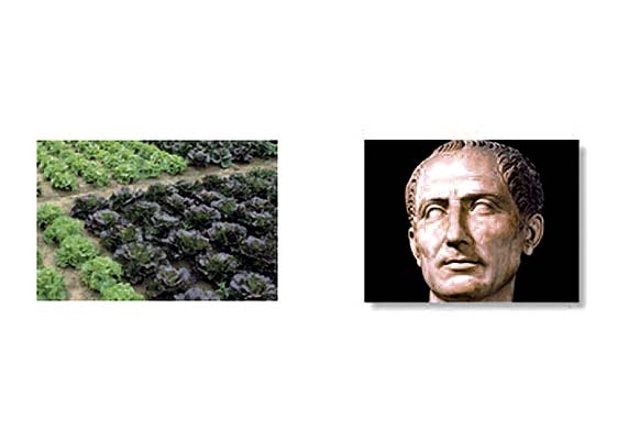 Claude Closky jpeg image documentation