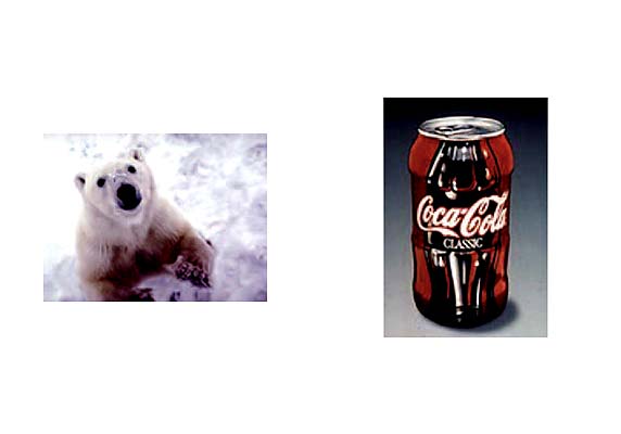 Claude Closky jpeg image documentation
