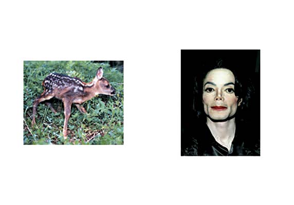 Claude Closky jpeg image documentation