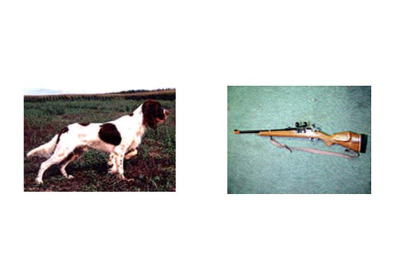 Claude Closky jpeg image documentation